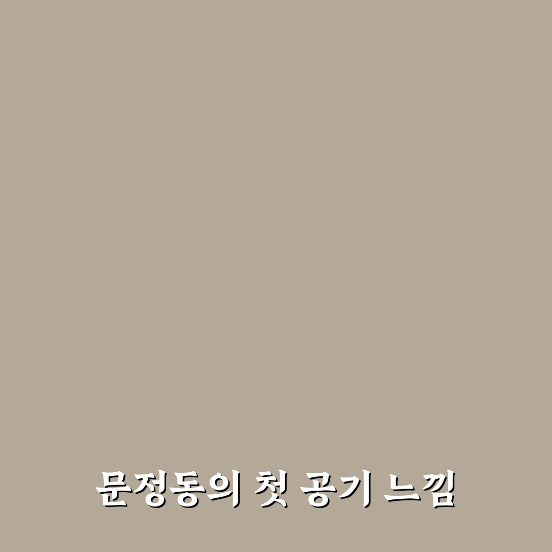 문정동 미세먼지 수치 직접 알아보니 일상에 미친 영향
