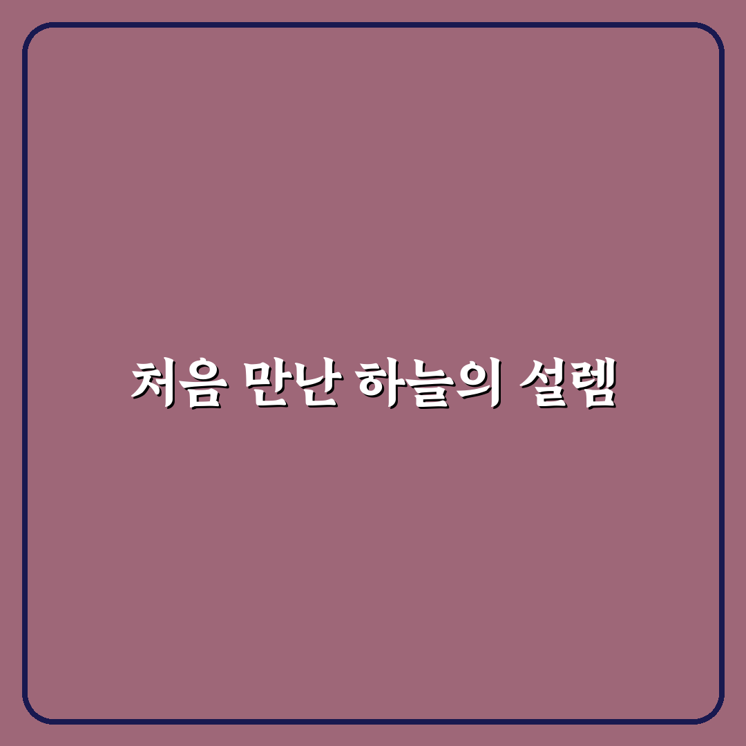 남이섬 집라인 체험기, 직접 타보니 어땠는지