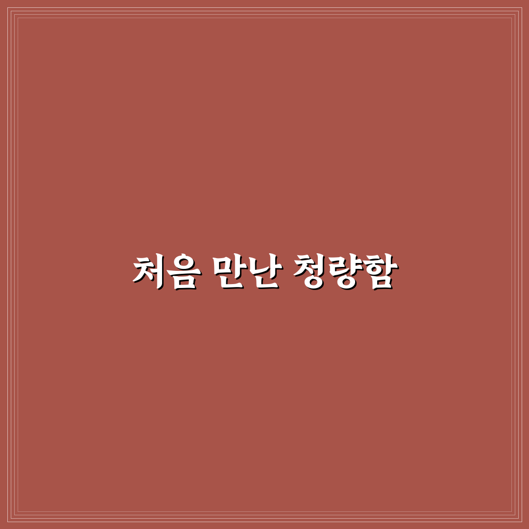프라페 뜻 직접 알아보니 이해하기 쉬웠던 점