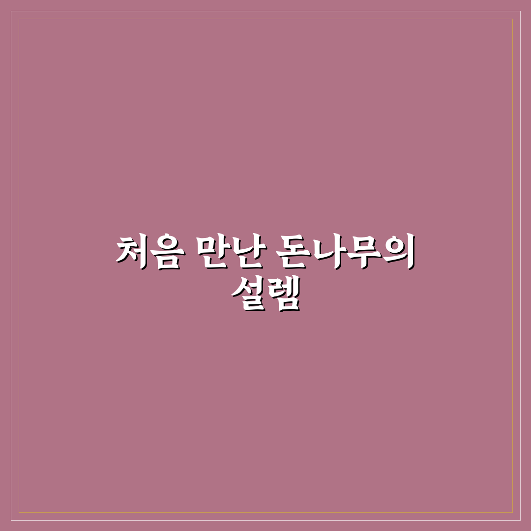 돈나무 키우기 직접 해보니 어려웠던 점과 팁