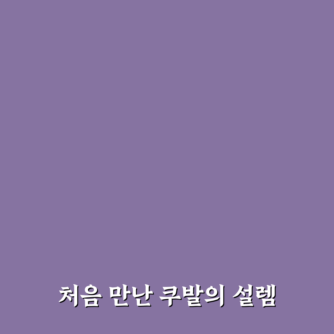 쿠발 사용 후기, 직접 써보니 장단점은