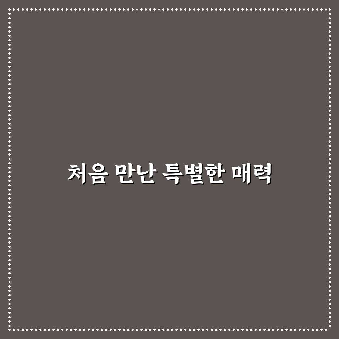 비행기 업사이클링 키링 사용 후기, 직접 써보니 느낌은?