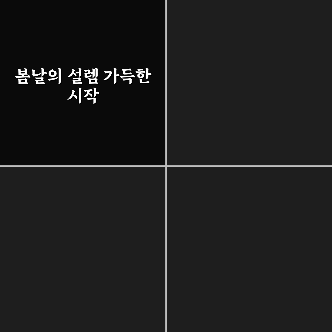 태안 튤립축제 방문 후기, 실시간 분위기와 함께 본 풍경