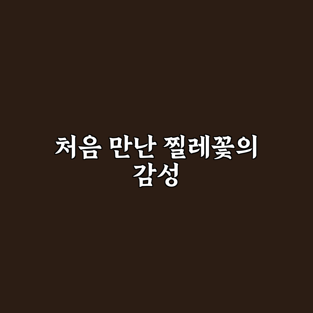 찔레꽃 가사 직접 살펴보니 느낌이 새로웠어요