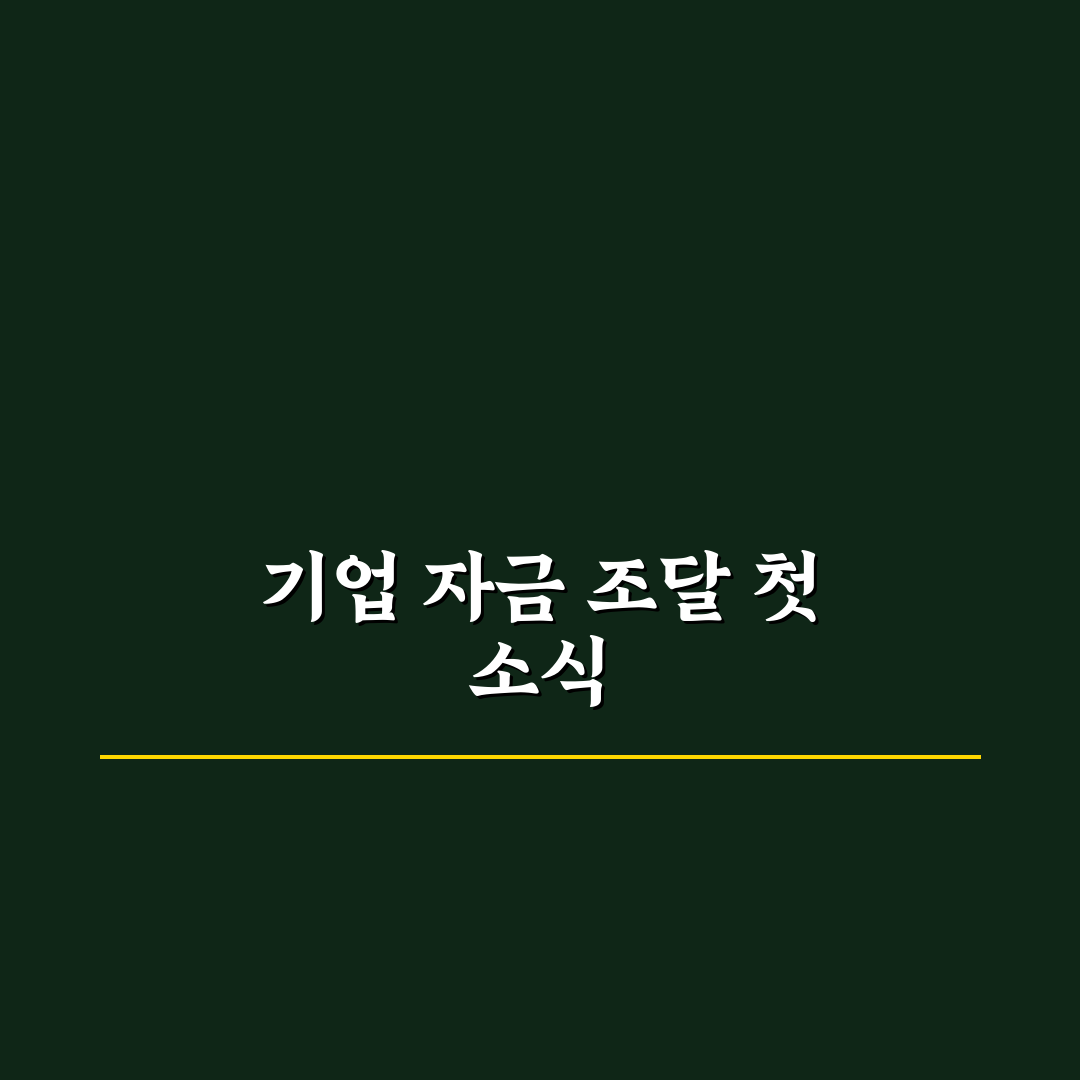 skc 유상증자 비율 직접 알아보니 투자 결정에 도움된 점