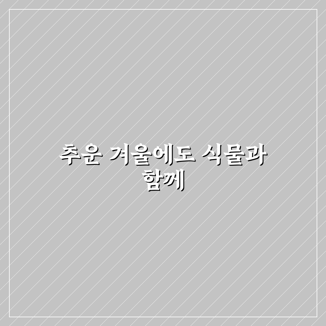 파라솔 버베나 노지월동, 직접 해보니 생존률은 어땠나