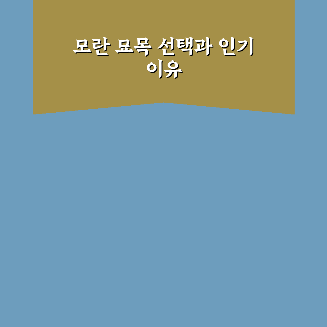 모란 묘목 선택 가이드와 성장 환경 비교 분석