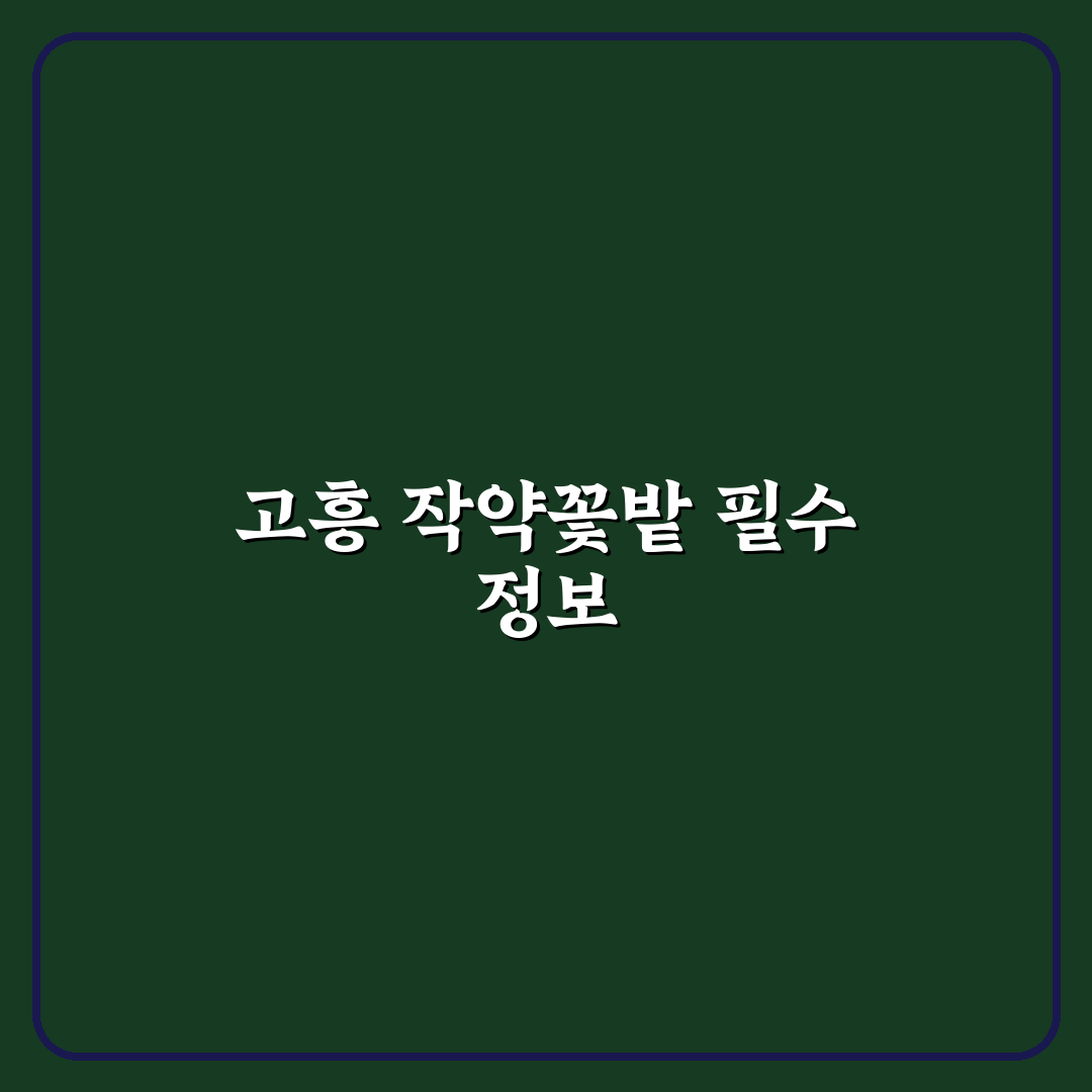 고흥 작약 꽃밭가는법 5가지 체크포인트 비교와 분석