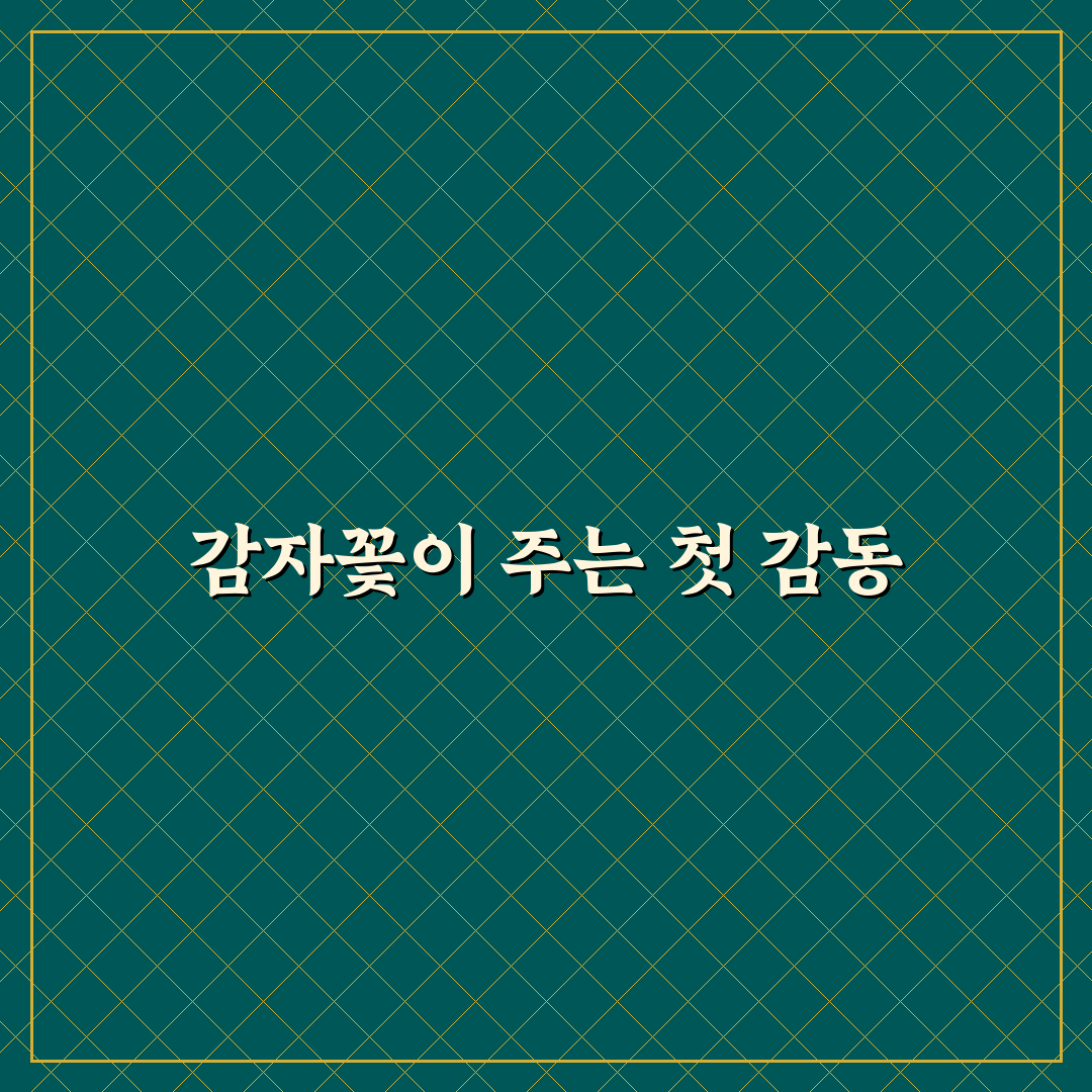 감자꽃 필 무렵 드라마, 직접 보고 느낀 점 정리