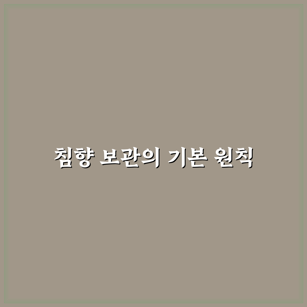 침향 보관법 5가지 기준별 비교와 분석 가이드