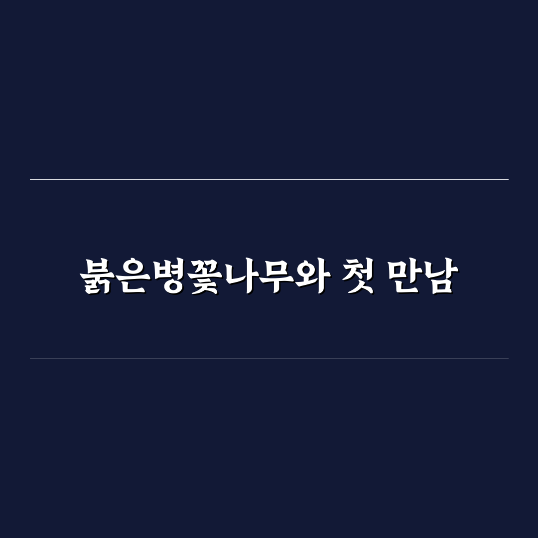 붉은병꽃나무 키우기 후기, 관리해보니 생각보다 어려웠어요