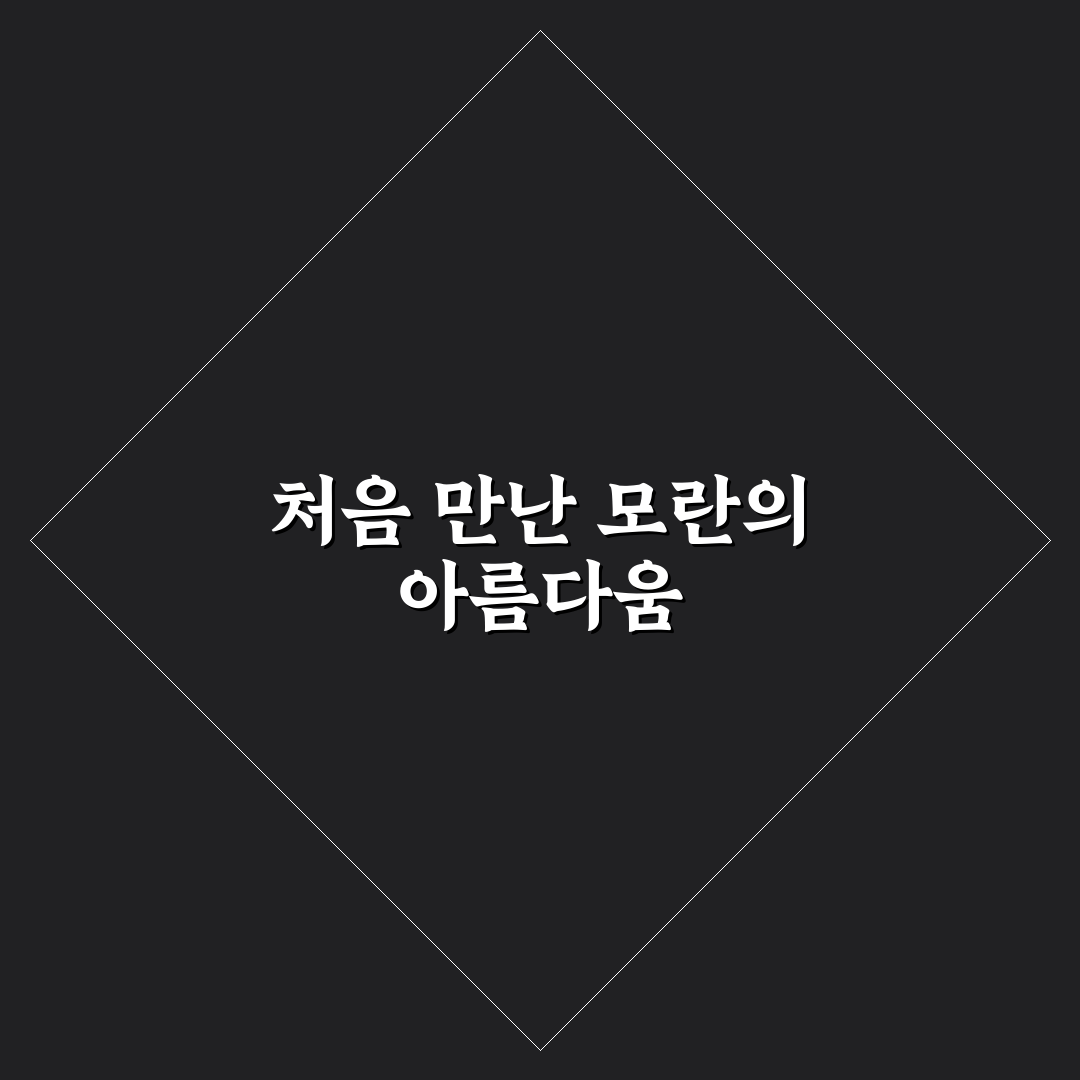모란꽃묘목 직접 심어보니 생육과 관리 후기