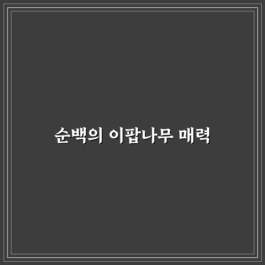 이팝나무 암수 직접 알아보니 꽃이 피는 차이점