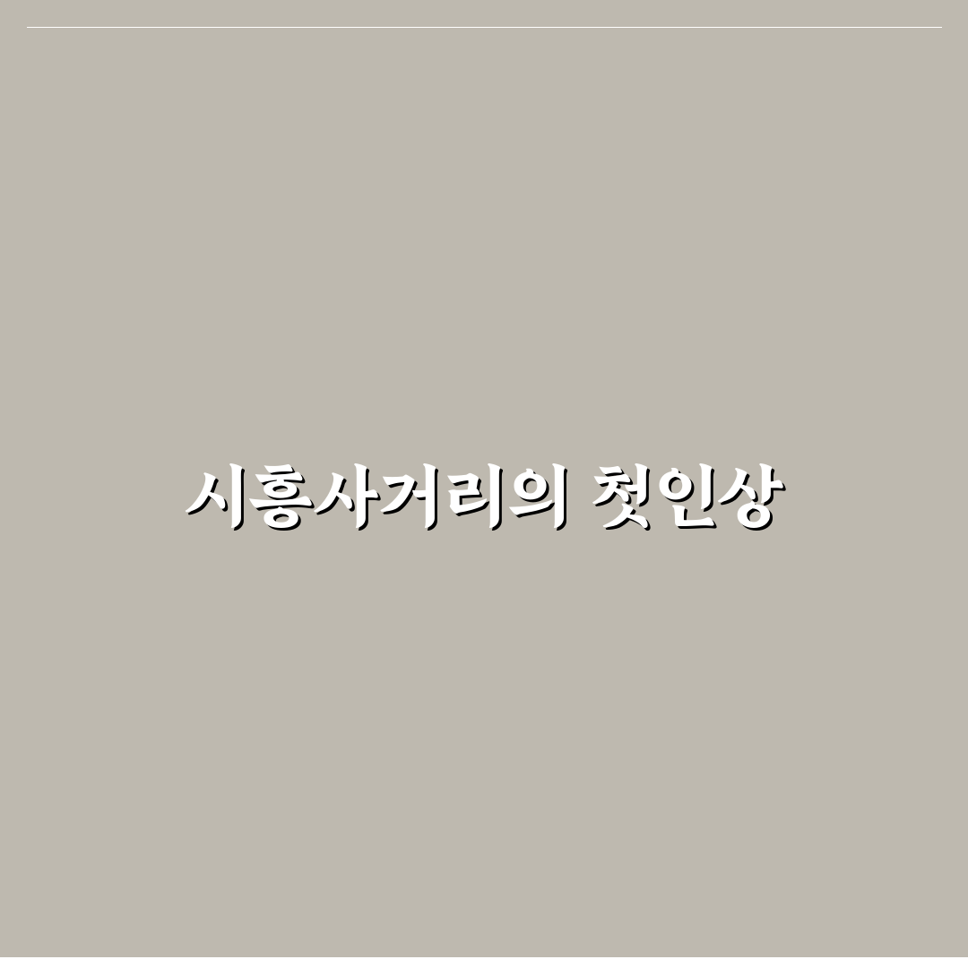 시흥사거리 방문 후기, 상권 분위기 직접 가보니
