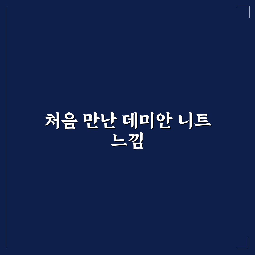 데미안 니트 사용 후기, 직접 써보니 어땠는까