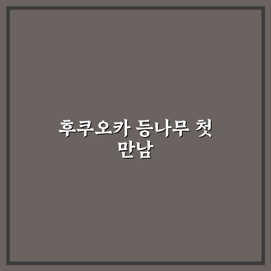 후쿠오카 등나무 시기 방문 후기, 꽃 만개 시점은 언제일까