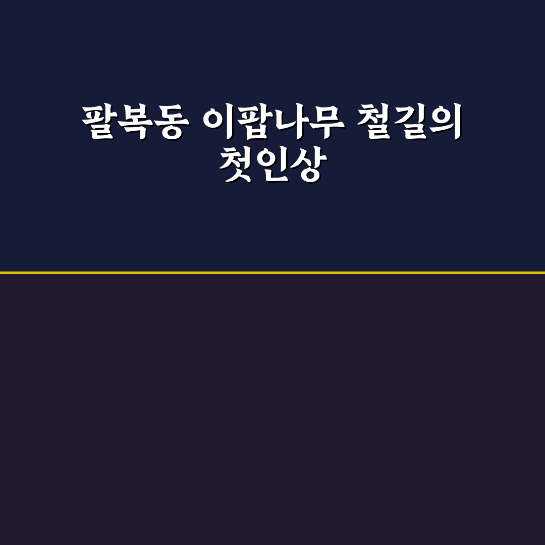 팔복동 이팝나무 철길 방문 후기, 한적한 산책길 체험기