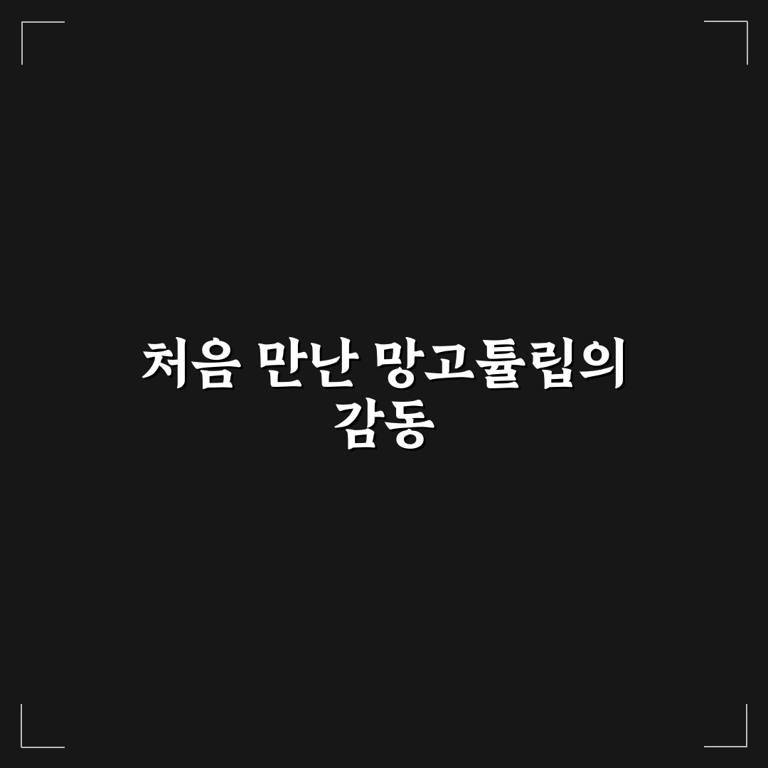 망고튤립 꽃말 직접 알아보니 뜻이 특별했어요