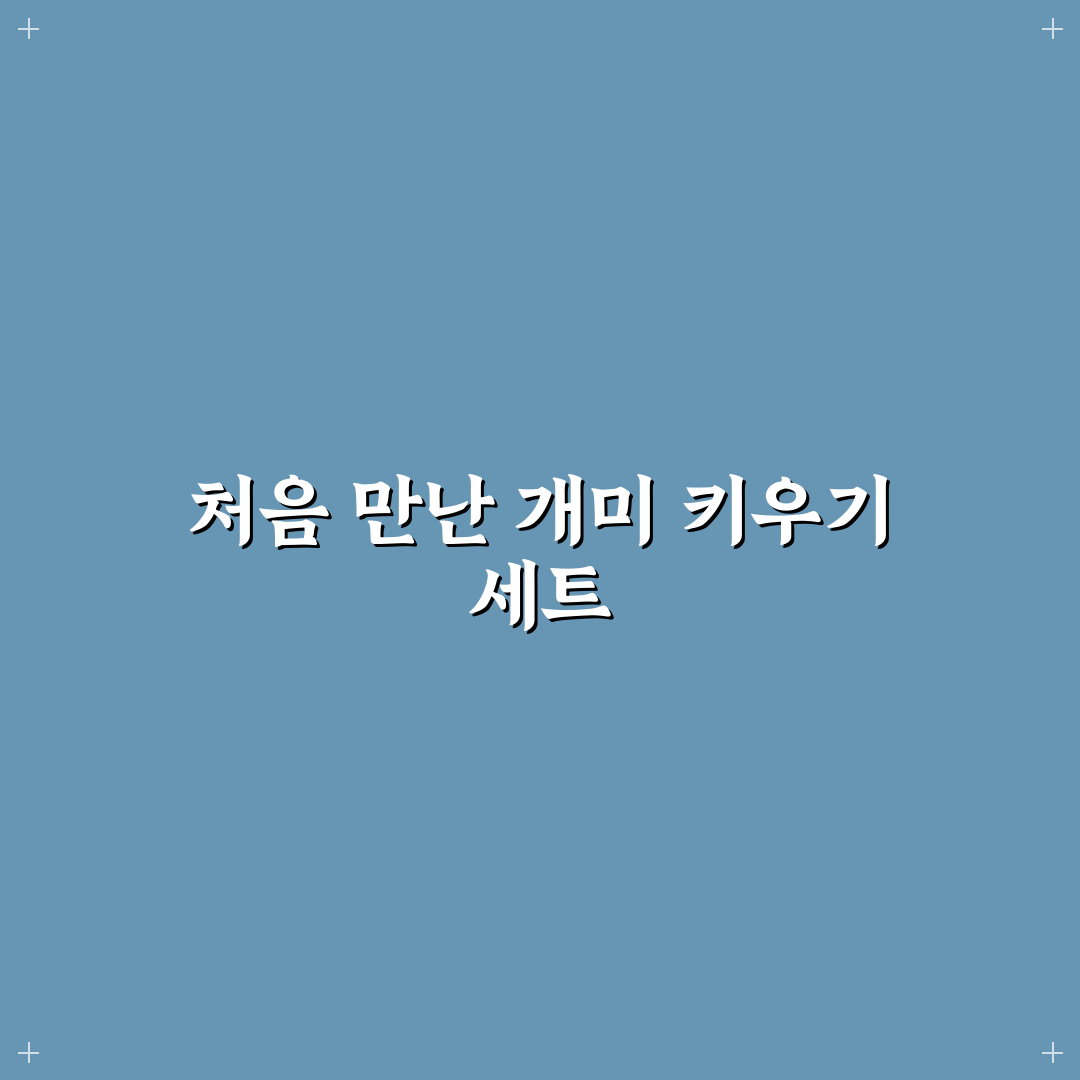 다이소 개미키우기 체험기, 직접 키워보니 신기했던 점