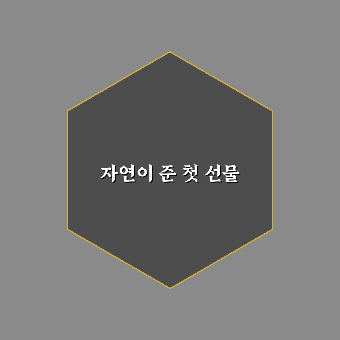 호주 프로폴리스 치약 사용 후기, 직접 써보니 느낀 점