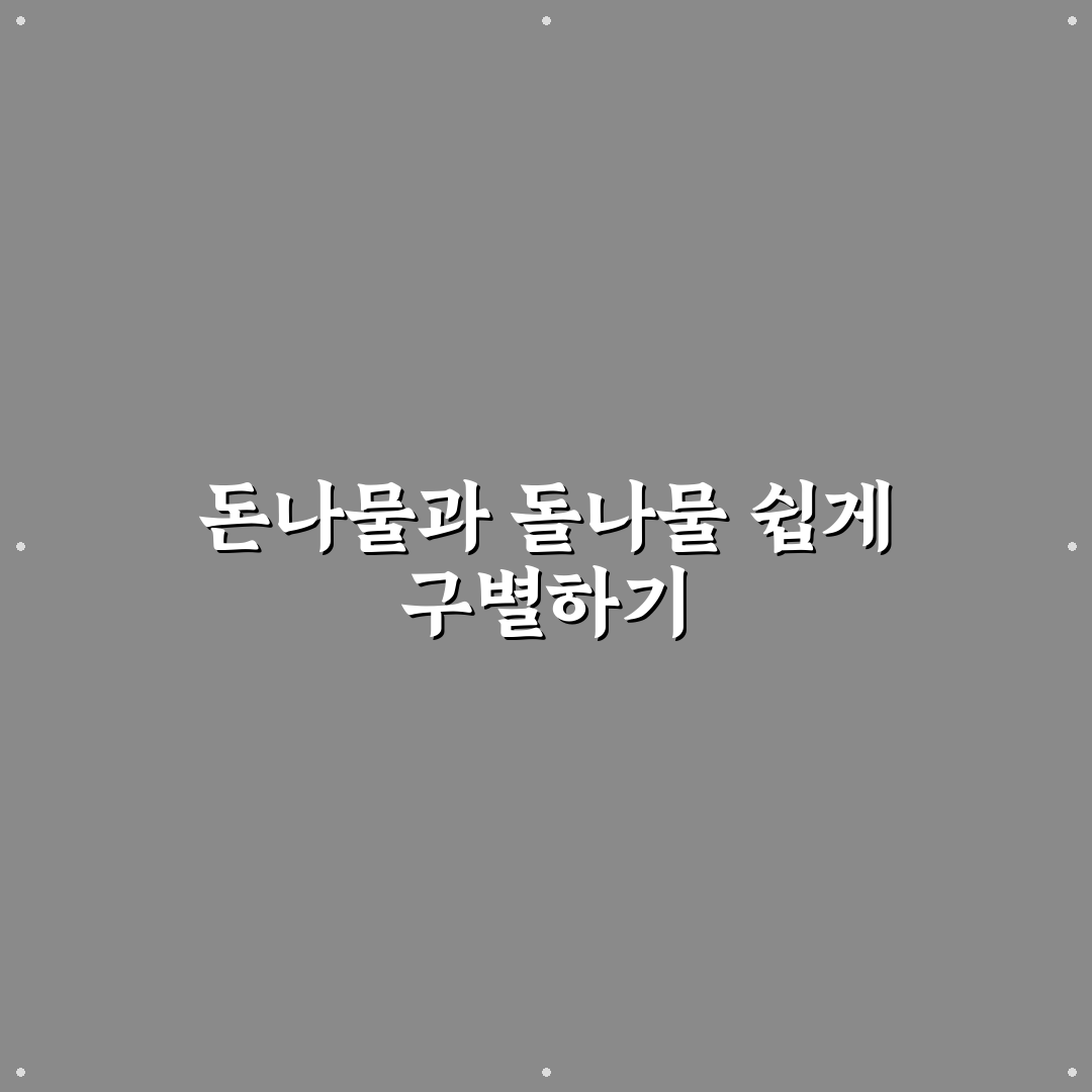 돈나물 돌나물 차이 5가지 기준별 비교와 분석