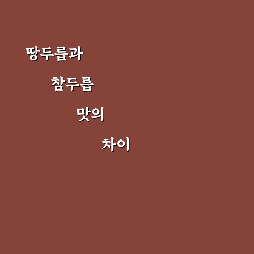 땅두릅 참두릅 맛차이 쉽게 이해하는 추천 정보