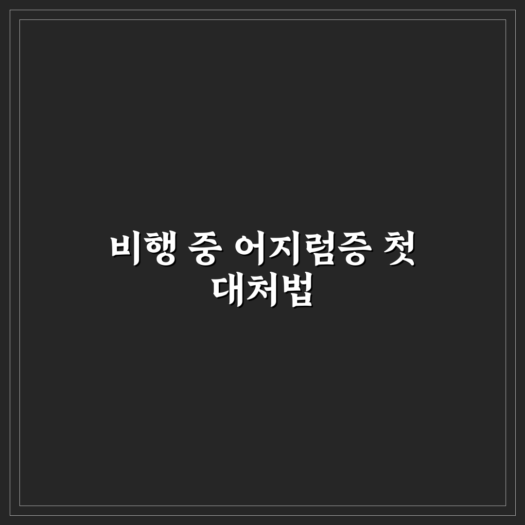 이석증 비행기 탑승 후기, 직접 겪어보니 알게 된 점