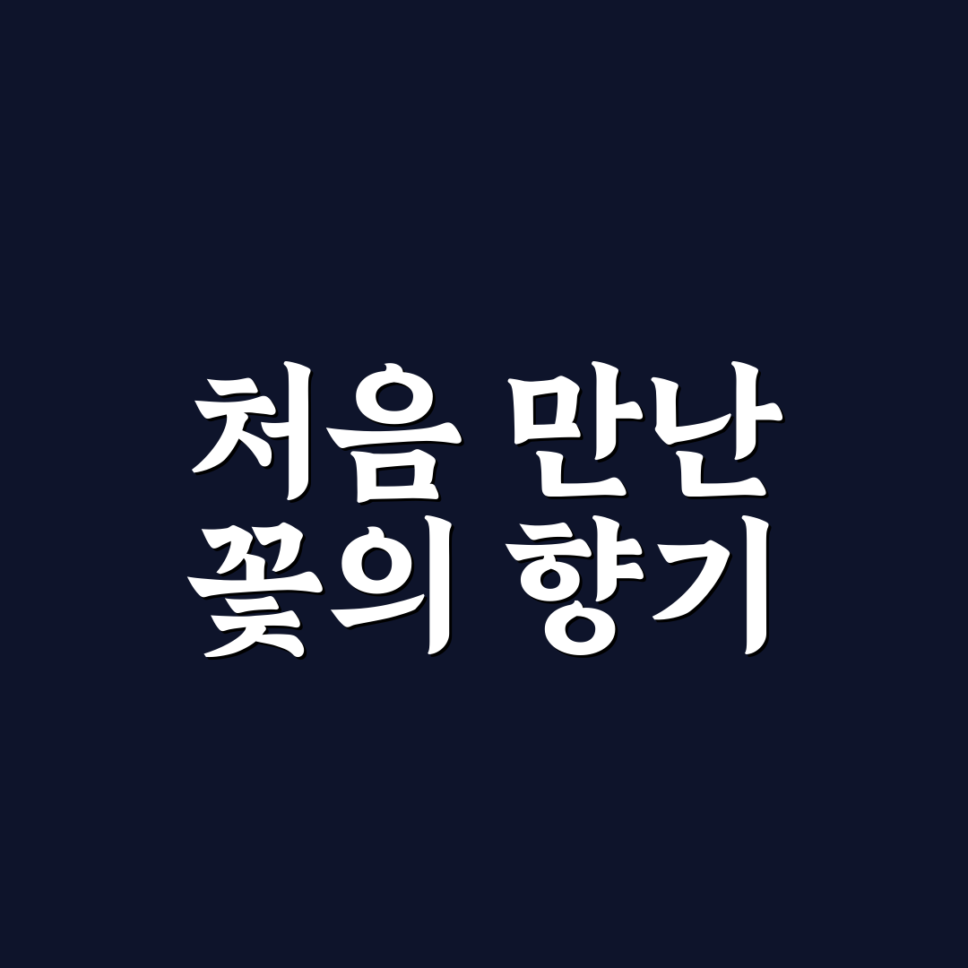 부천 장미꽃 축제 방문 후기, 직접 가보니 분위기 어땠는지
