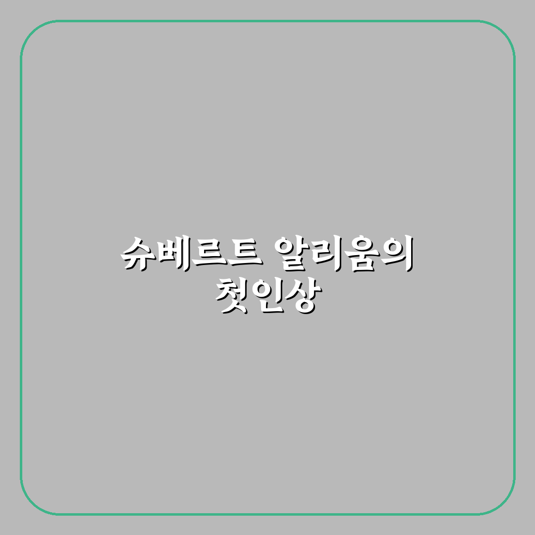 슈베르트 알리움 사용 후기, 직접 써보니 느낌은?