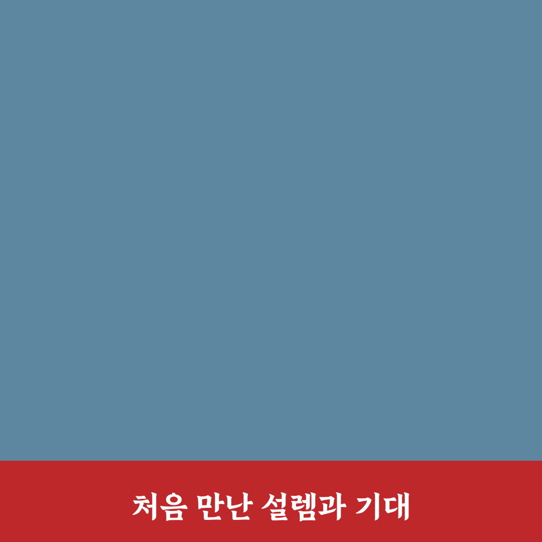 양재역 중국집 방문 후기, 솔직한 맛과 분위기 이야기