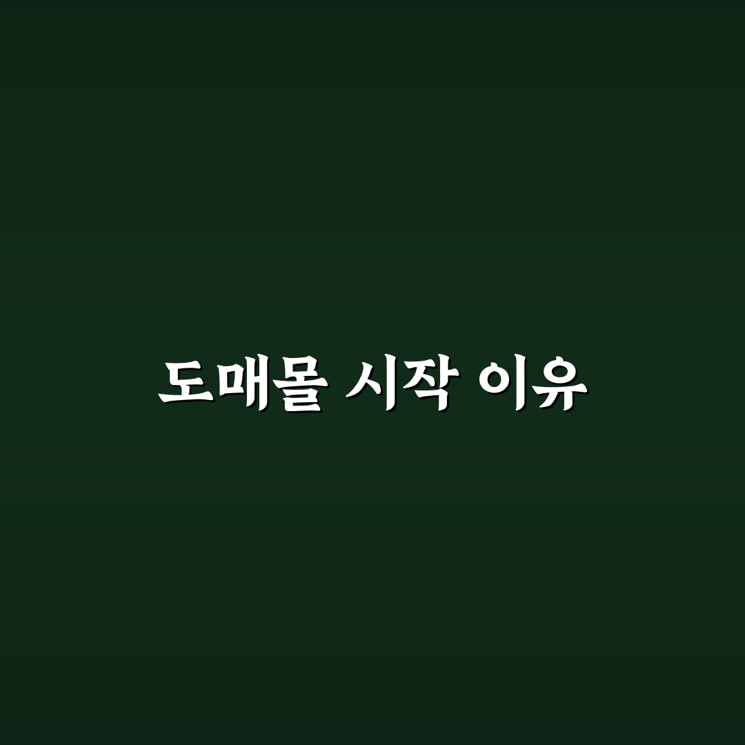 b2b 도매몰 직접 이용해보니 장단점은?