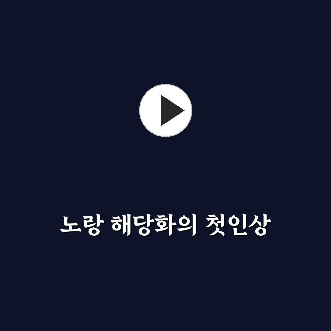 노랑 해당화 묘목 사용 후기, 직접 키워보니 어려웠던 점