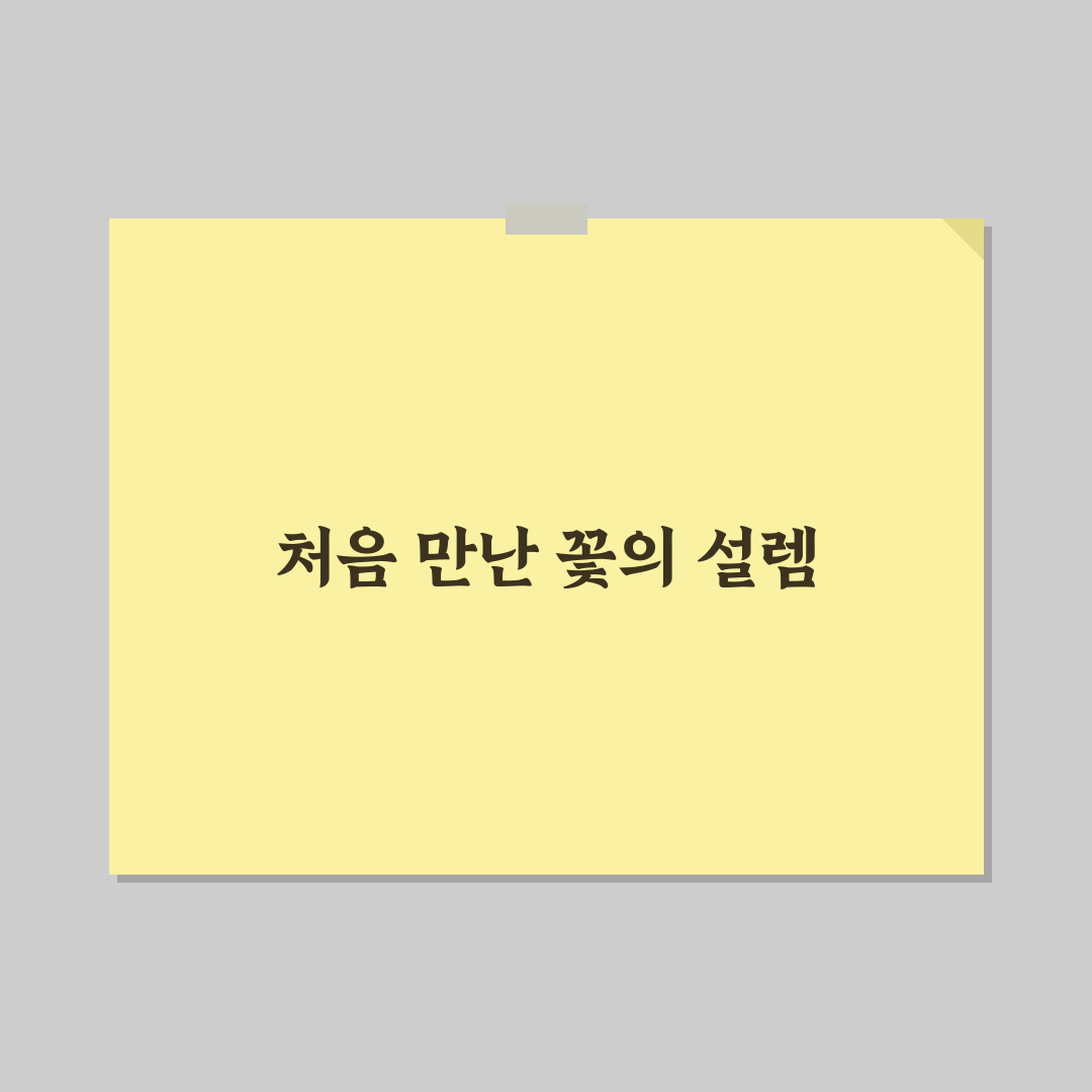 야탑 꽃집 방문 후기, 직접 가보니 장단점은
