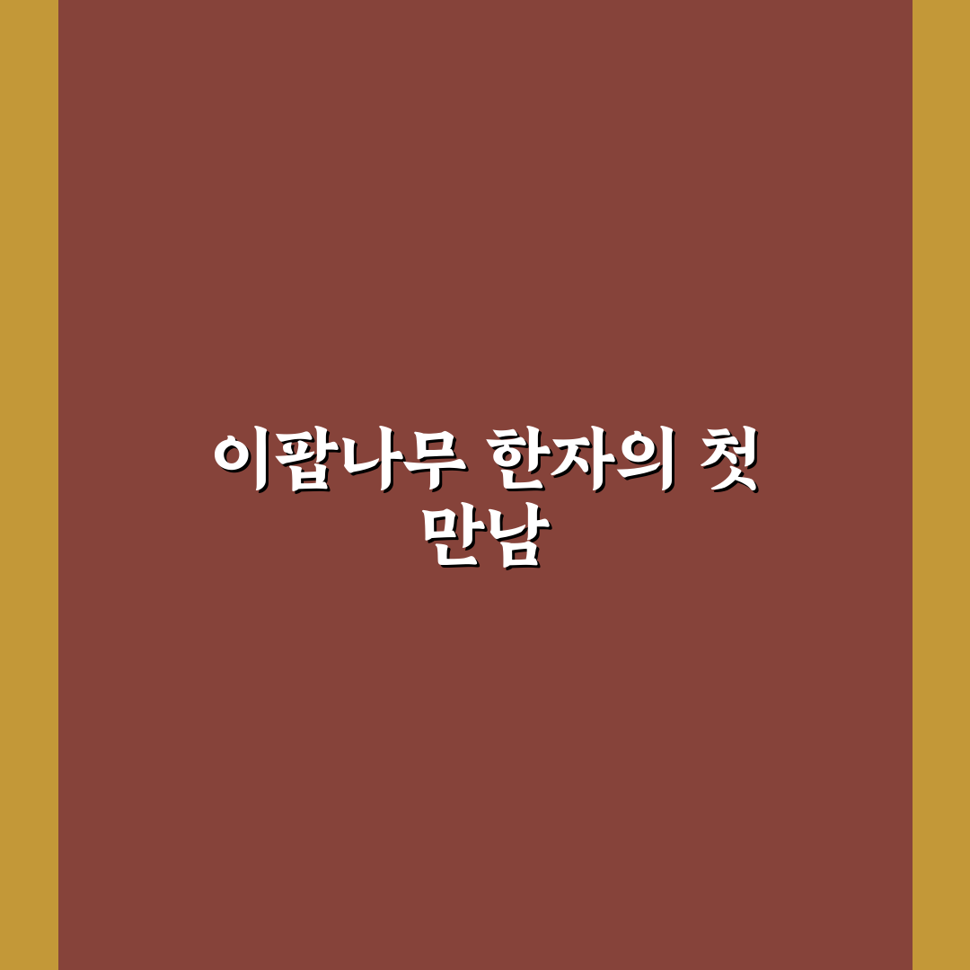 이팝나무 한자 직접 알아보니 뜻과 쓰임 이해하기 편하네요