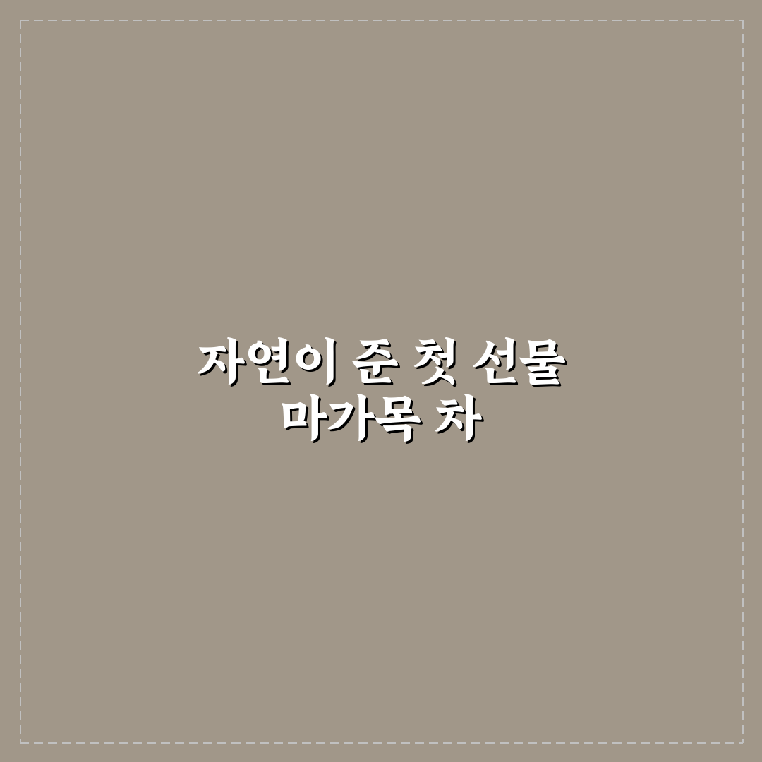 마가목 물끓이는방법 직접 해보니 달라진 맛과 향