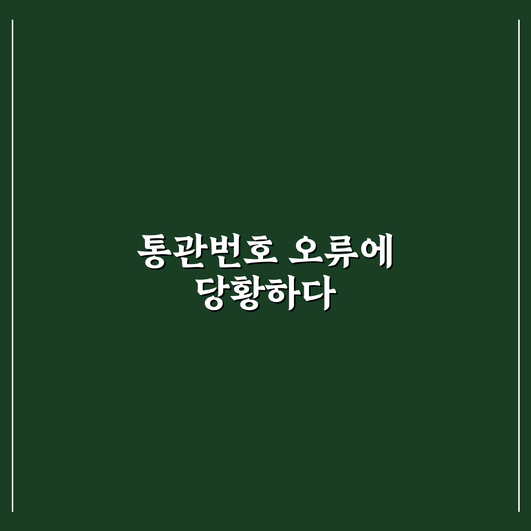 타오바오 통관번호 오류 직접 알아보니 해결 방법은