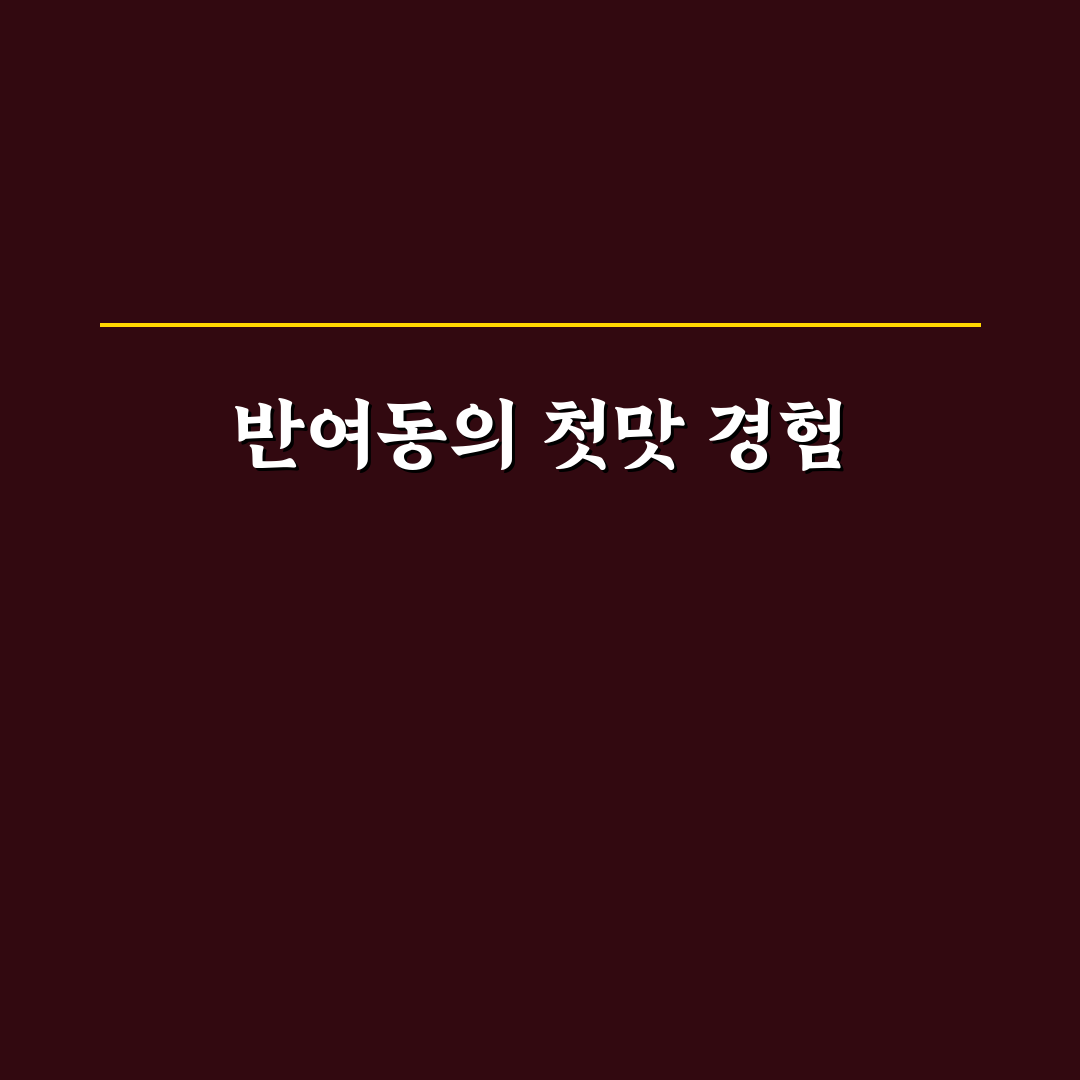반여동 달인김밥 방문 후기, 직접 가보니 어땠는지