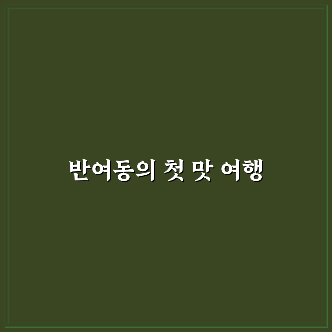 반여동 분식 방문 후기, 직접 가보니 느낀 점들