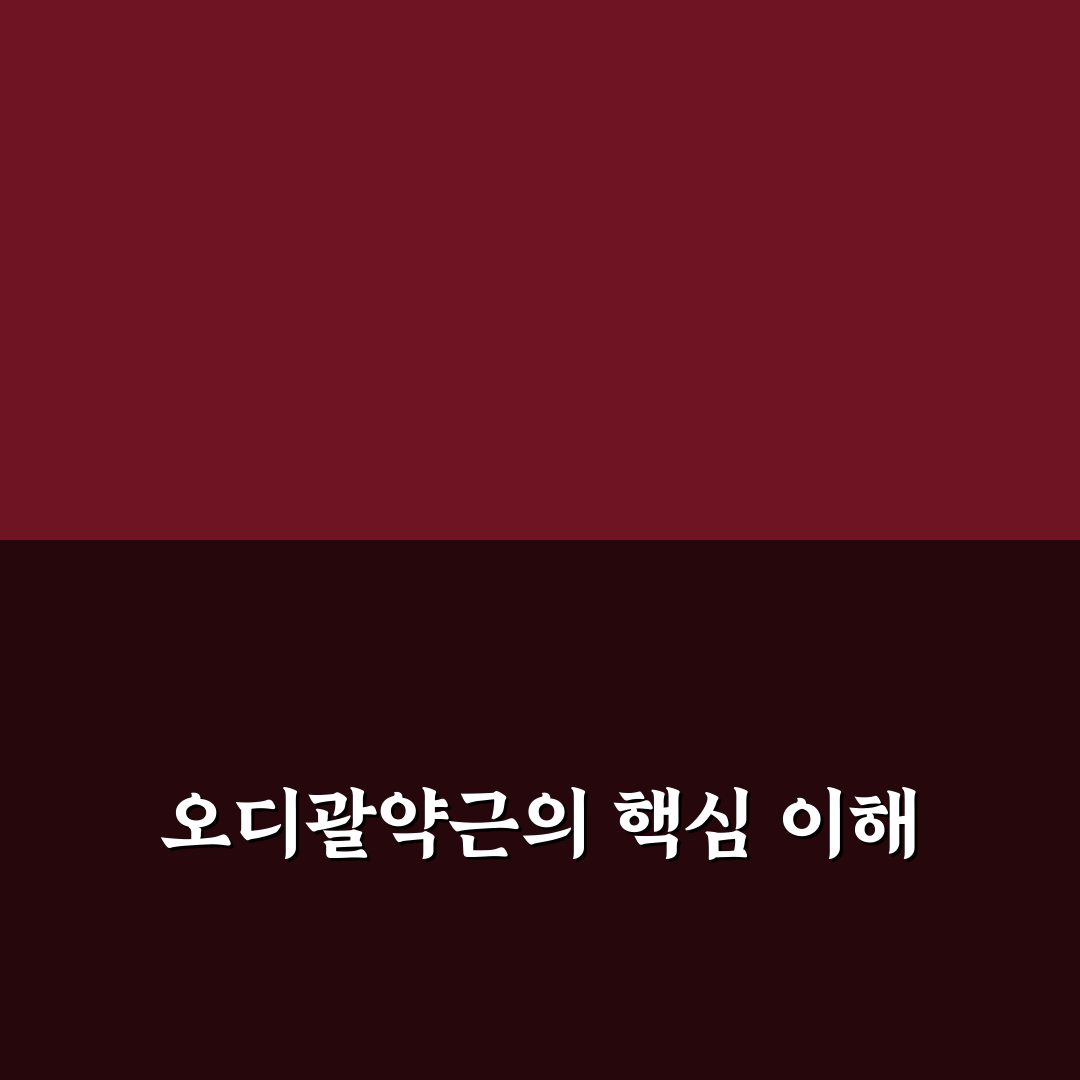 오디괄약근 기능과 이상 증상 5가지 기준 분석