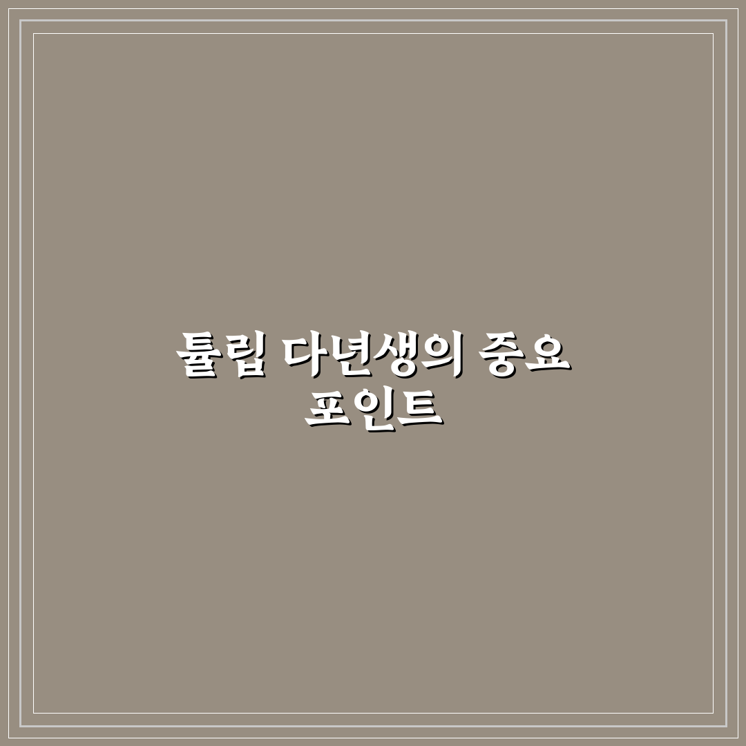 튤립 다년생 비교 및 재배 성공 5가지 기준 총정리