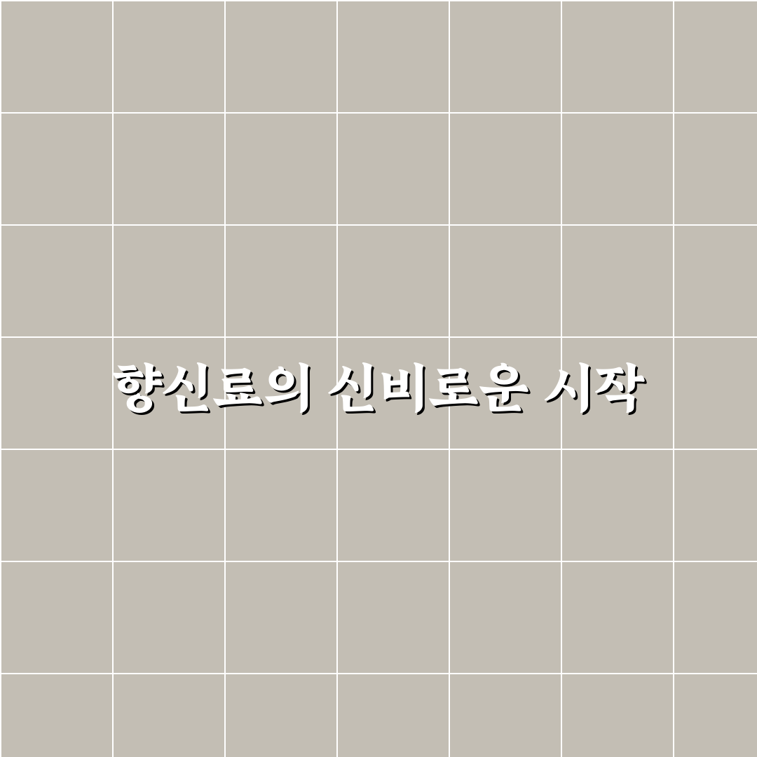 원주 무실동 양꼬치 방문 후기, 솔직한 맛과 분위기