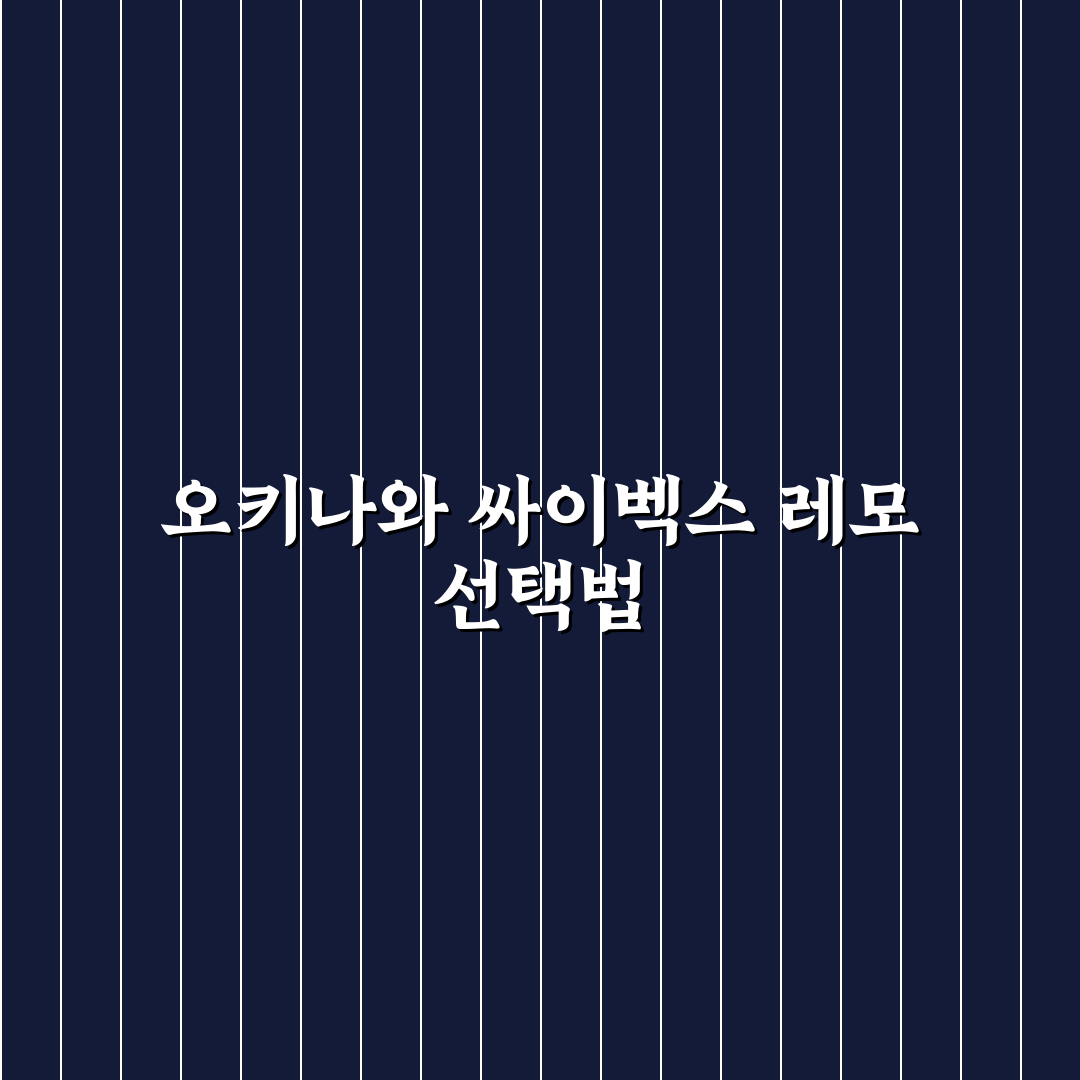 오키나와 싸이벡스 레모 비교와 선택 기준 5가지 총정리
