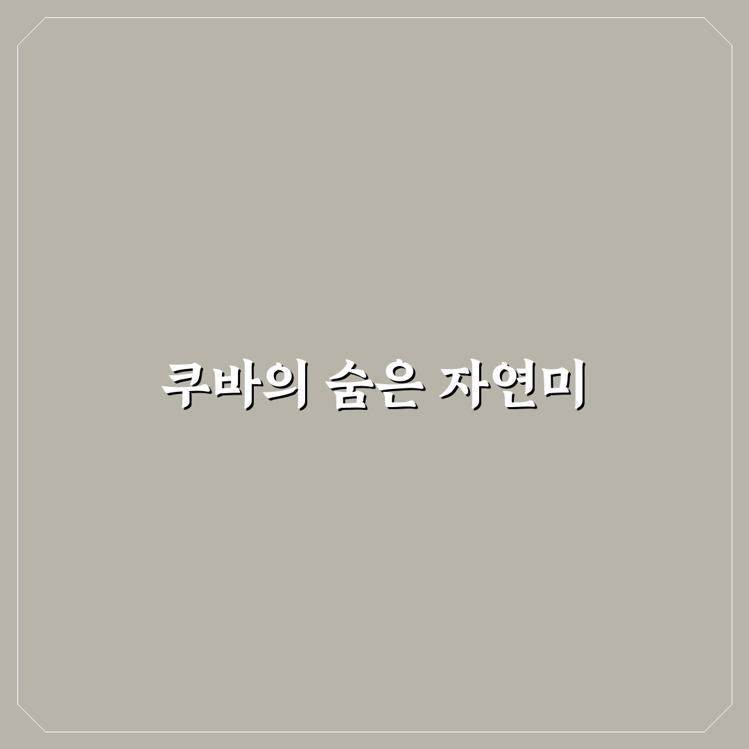 쿠바 지도 보기 직접 해보니 여행 준비에 도움됐어요