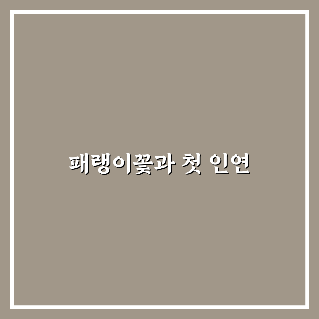 패랭이꽃 꽃말 직접 알아보니 뜻이 궁금했던 이유