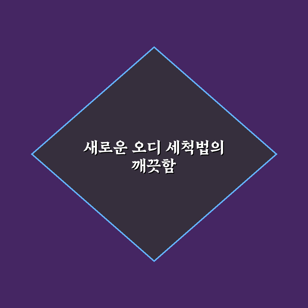 오디 씻는법 후기, 직접 해보니 깨끗해진 느낌