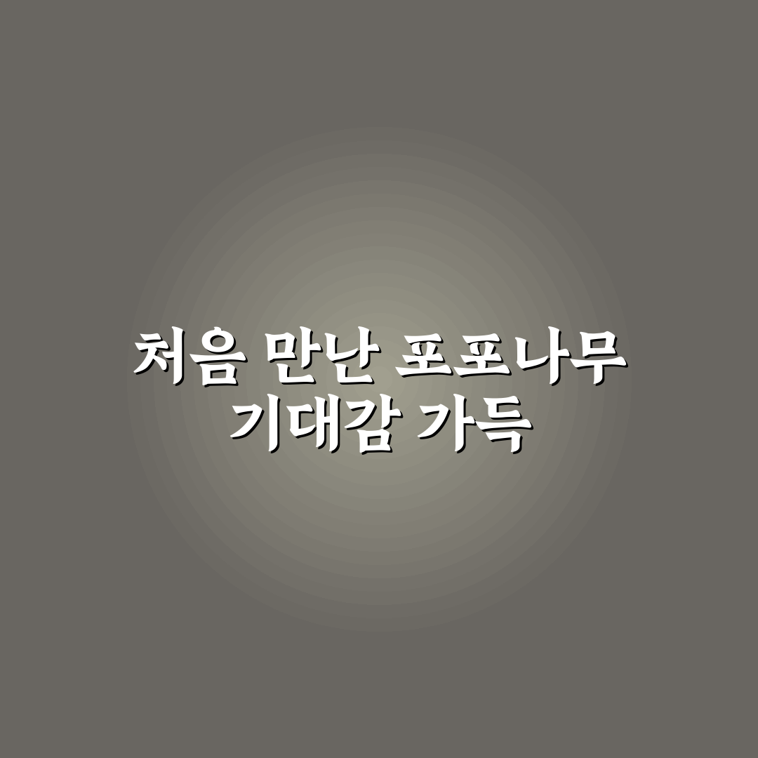 포포나무 이대 방문 후기, 분위기와 메뉴 솔직히 말해봐요