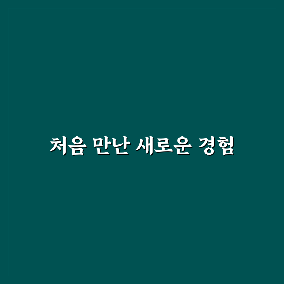 티머니고 오류 직접 이용해보니 해결 과정과 아쉬운 점