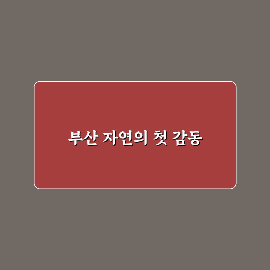 부산 이팝나무 명소 방문 후기, 직접 가보니 풍경이 어땠는지
