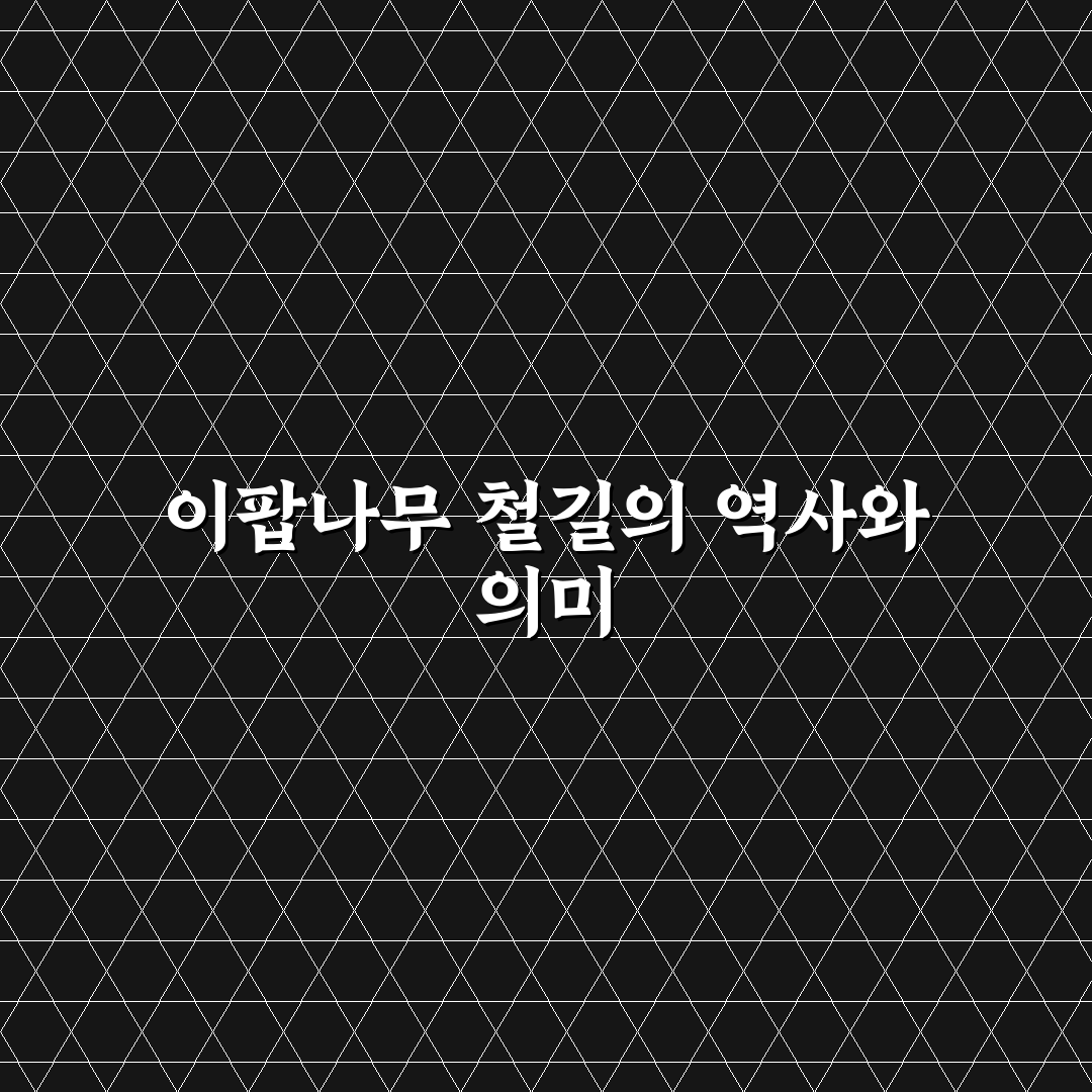 이팝나무 철길 방문 전 체크포인트와 비교 분석 가이드