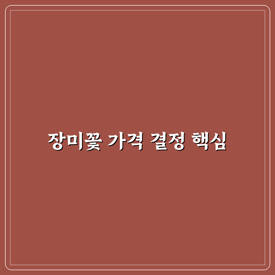 장미꽃 한송이 가격 비교와 구매 가이드 5가지 기준